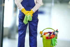 شركة تنظيف بابها | شركة النسر